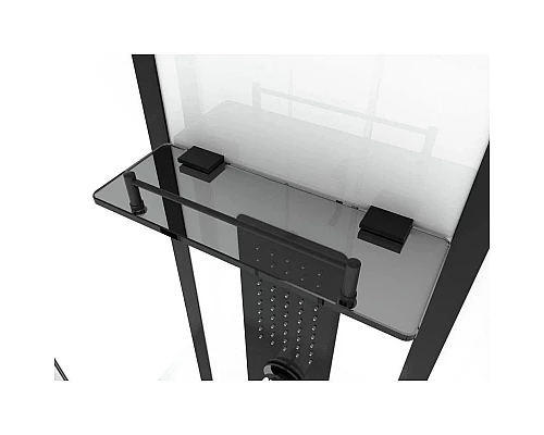 Заказать Душевая кабина 160х85х215 см Black & White Galaxy 8010160 прозрачное в магазине сантехники Santeh-Crystal.ru