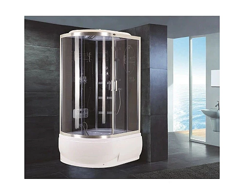 Купить Душевая кабина 117х80х220 см Niagara NG-1910-01R тонированное в магазине сантехники Santeh-Crystal.ru