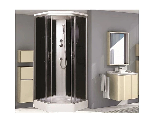 Купить Душевая кабина 90х90х220 см Niagara NG-2506-01 тонированное в магазине сантехники Santeh-Crystal.ru