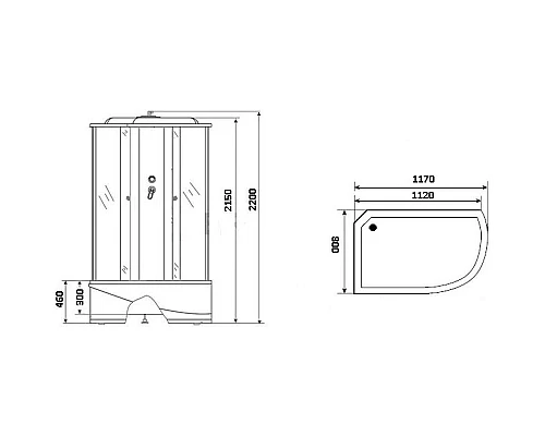 Заказать Душевая кабина 117х80х220 см Niagara NG-1910-01L тонированное в магазине сантехники Santeh-Crystal.ru