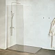 Приобрести Неподвижная перегородка 80 см RGW WA-002W Walk-in 35100208-15 прозрачное в магазине сантехники Santeh-Crystal.ru