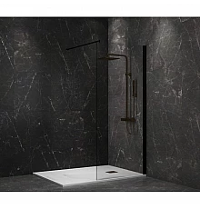 Неподвижная перегородка 110 см Paini PAINI-WalkIN110C прозрачное