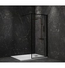 Неподвижная перегородка 100 см Paini PAINI-WalkIN100F прозрачное