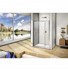 Душевая дверь 100 см Good Door Orion WTW-PD-100-C-CH прозрачное