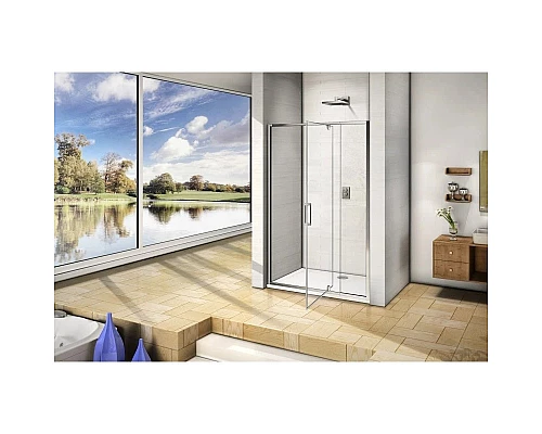 Купить Душевая дверь 120 см Good Door Orion WTW-PD-120-C-CH прозрачное в магазине сантехники Santeh-Crystal.ru