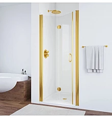Душевая дверь 100 см Vegas Glass GPS 100 09 01 прозрачное