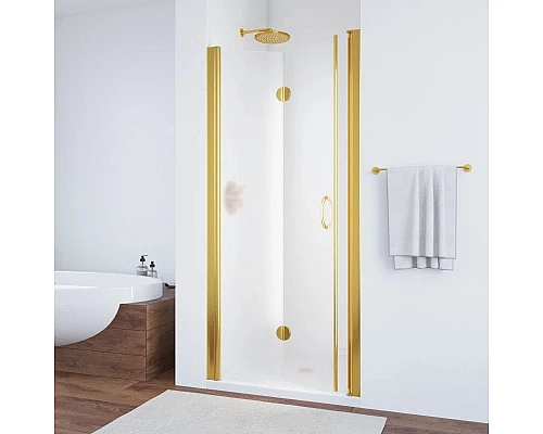 Заказать Душевая дверь 100 см Vegas Glass GPS 100 09 10 сатин в магазине сантехники Santeh-Crystal.ru