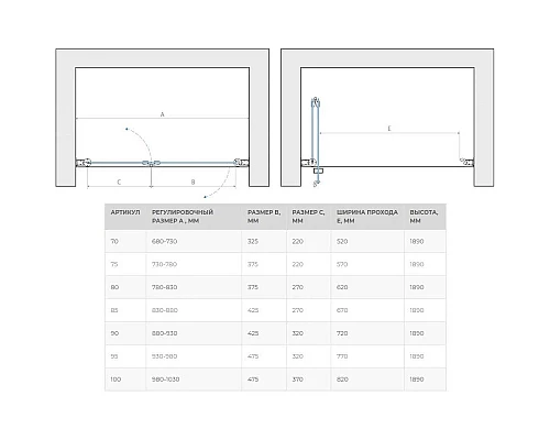 Заказать Душевая дверь 100 см Vegas Glass GPS 100 09 10 сатин в магазине сантехники Santeh-Crystal.ru