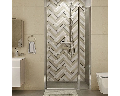 Купить Душевая дверь 100 см IDDIS Ray RAY6CP0i69 прозрачное в магазине сантехники Santeh-Crystal.ru