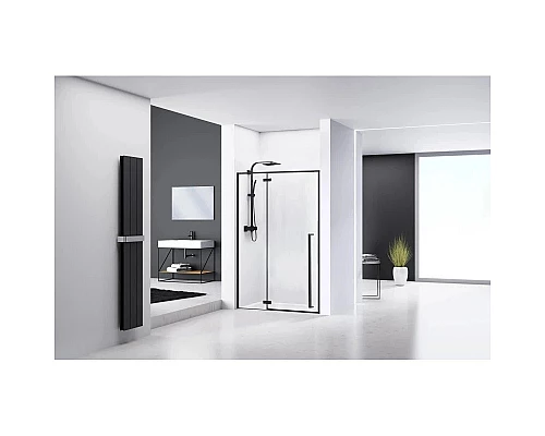 Приобрести Душевая дверь 110 см Rea Fargo REA-K6325 прозрачное в магазине сантехники Santeh-Crystal.ru