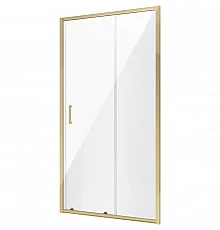 Душевая дверь 100 см Niagara NG-42-10AG прозрачное