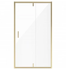 Душевая дверь 100 см Niagara NG-43-10AG прозрачное