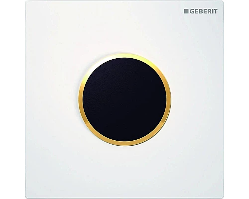 Купить Система электронного управления смывом писсуара, питание от сети, защитная крышка типа 10 Geberit белый/позолота 116.025.KK.1 в магазине сантехники Santeh-Crystal.ru