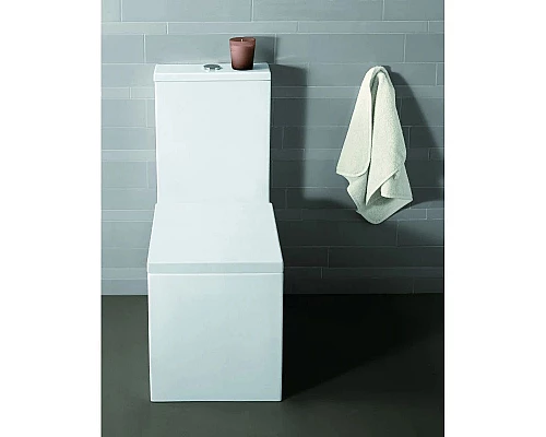 Купить Бачок для унитаза Simas Frozen FZ09bi в магазине сантехники Santeh-Crystal.ru