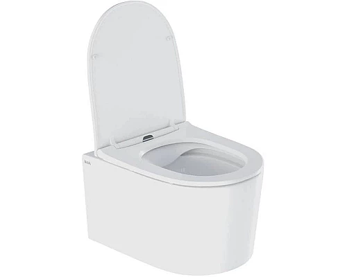 Купить Комплект подвесной унитаз IDDIS Stone STORDSEI25 + система инсталляции Geberit 111.362.00.5 + 115.882.DW.1 в магазине сантехники Santeh-Crystal.ru