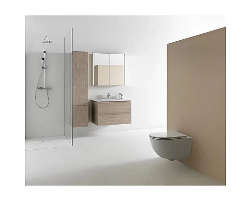 Заказать Комплект подвесной унитаз Laufen Pro 8.2096.6.000.000.1 + 8.9896.6.000.000.1 + система инсталляции Geberit 111.362.00.5 + 115.882.DW.1 в магазине сантехники Santeh-Crystal.ru