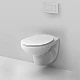Заказать Комплект подвесной унитаз + система инсталляции AM.PM Sense IS301.741700 в магазине сантехники Santeh-Crystal.ru