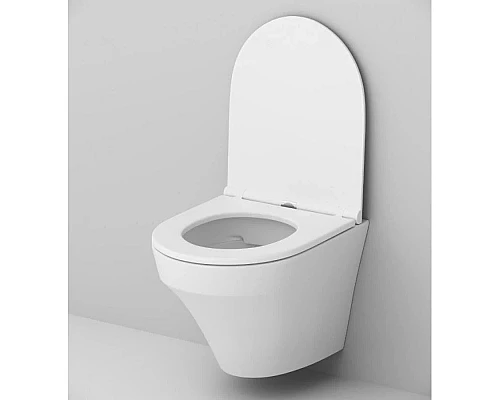 Купить Комплект подвесной унитаз + система инсталляции Am.Pm Inspire Pro L IS49051.501700 в магазине сантехники Santeh-Crystal.ru