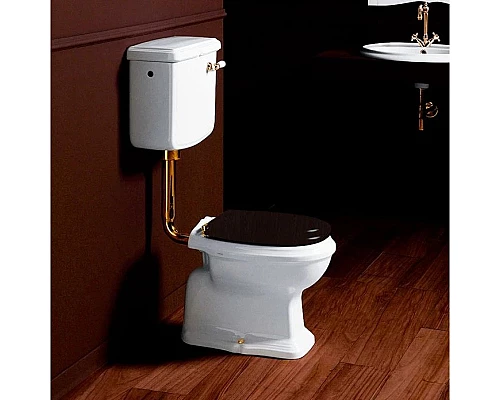 Заказать Сиденье с микролифтом для унитаза Simas Arcade AR009noce/oro в магазине сантехники Santeh-Crystal.ru