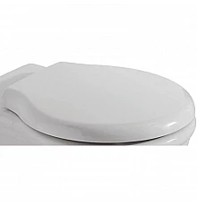 Сиденье для унитаза с микролифтом белый/хром Globo Paestum PA029bi/cr