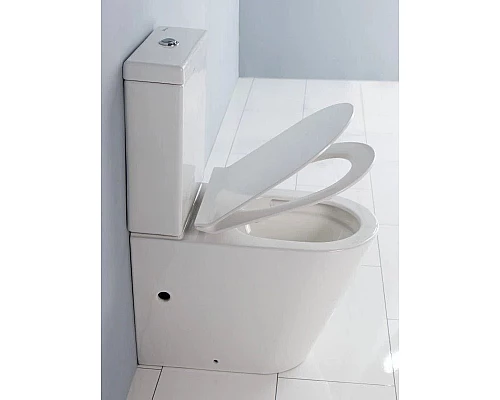 Купить Сиденье для унитаза с микролифтом BelBagno Flay-R BB2111SC в магазине сантехники Santeh-Crystal.ru