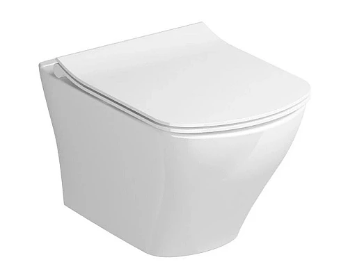 Купить Сиденье для унитаза с микролифтом Ravak Classic X01673 в магазине сантехники Santeh-Crystal.ru