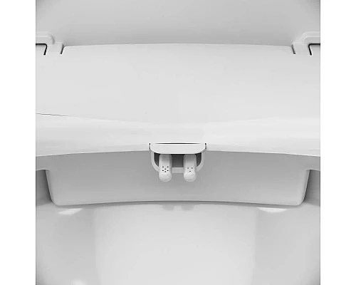 Приобрести Крышка биде для унитаза с микролифтом Am.Pm Clean Care CCM7851WH в магазине сантехники Santeh-Crystal.ru