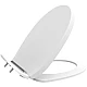 Заказать Сиденье для унитаза с микролифтом Creavit Foglia KC2703.01.0000E в магазине сантехники Santeh-Crystal.ru