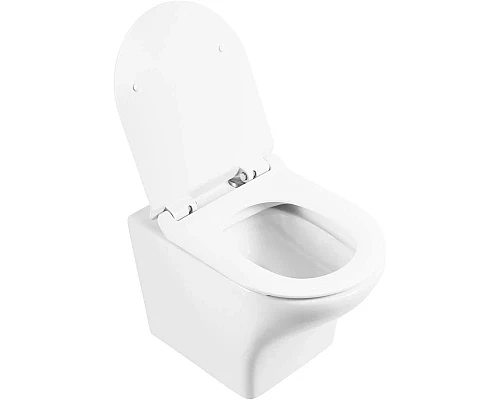 Купить Сиденье для унитаза с микролифтом BelBagno Flay-R BB2111SC в магазине сантехники Santeh-Crystal.ru