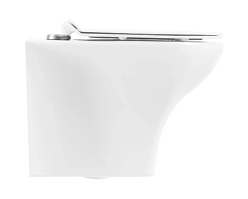 Купить Сиденье для унитаза с микролифтом BelBagno Flay-R BB2111SC в магазине сантехники Santeh-Crystal.ru