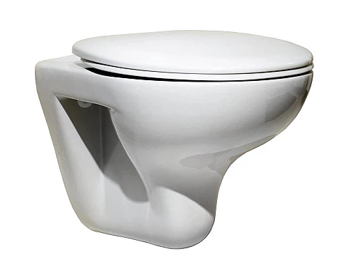 Заказать Сиденье для унитаза с микролифтом Roca Mateo ZRU9302822 в магазине сантехники Santeh-Crystal.ru