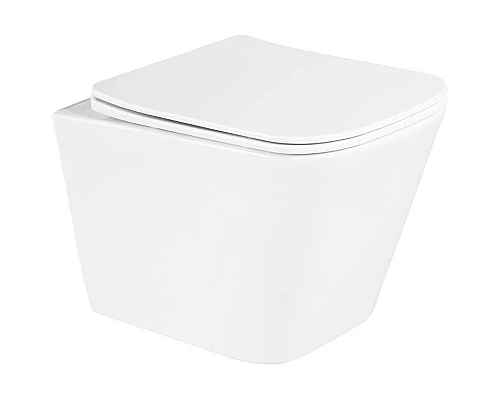 Купить Сиденье для унитаза с микролифтом BelBagno Due BB3103/3106SC в магазине сантехники Santeh-Crystal.ru