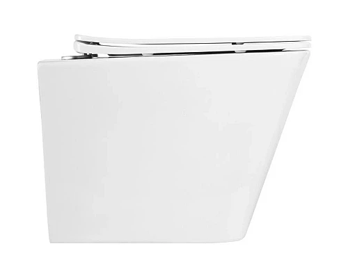 Купить Сиденье для унитаза с микролифтом BelBagno Due BB3103/3106SC в магазине сантехники Santeh-Crystal.ru