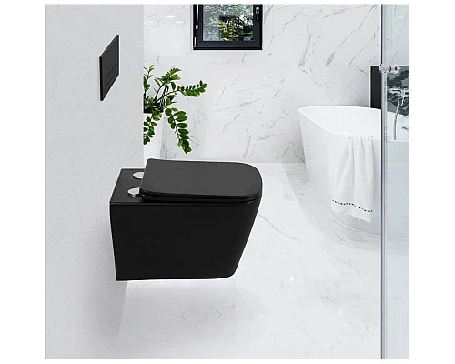 Купить Сиденье для унитаза с микролифтом BelBagno Ardente-C BB3202SC-MB в магазине сантехники Santeh-Crystal.ru