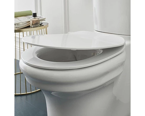 Приобрести Сиденье для унитаза с микролифтом Jacob Delafon Cleo E24048-0 в магазине сантехники Santeh-Crystal.ru