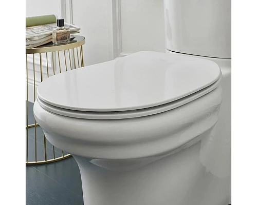 Приобрести Сиденье для унитаза с микролифтом Jacob Delafon Cleo E24048-0 в магазине сантехники Santeh-Crystal.ru