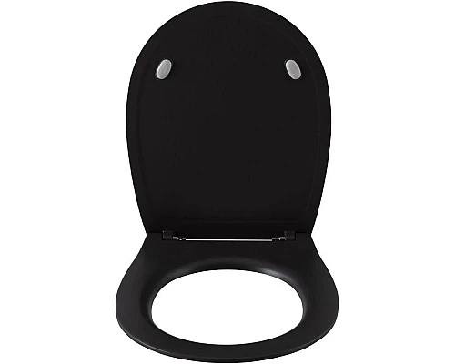 Заказать Сиденье для унитаза с микролифтом Allen Brau Fantasy 4.11005.AN в магазине сантехники Santeh-Crystal.ru