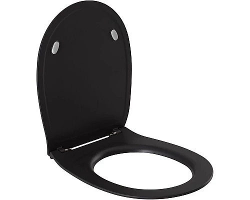 Заказать Сиденье для унитаза с микролифтом Allen Brau Fantasy 4.11005.AN в магазине сантехники Santeh-Crystal.ru