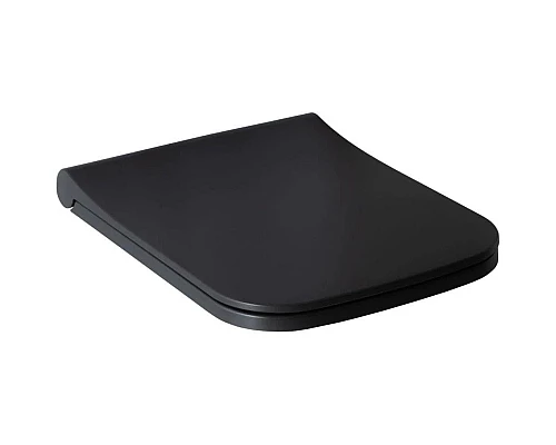 Купить Сиденье для унитаза с микролифтом Allen Brau Infinity 4.21014.AN в магазине сантехники Santeh-Crystal.ru