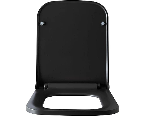 Купить Сиденье для унитаза с микролифтом Allen Brau Infinity 4.21014.AN в магазине сантехники Santeh-Crystal.ru