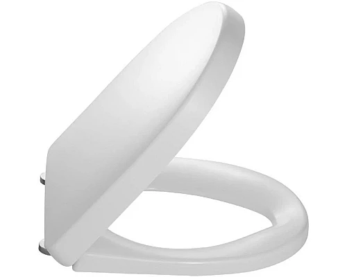 Приобрести Jacob Delafon Odeon Up 8407K-00 Крышка-сиденье в магазине сантехники Santeh-Crystal.ru