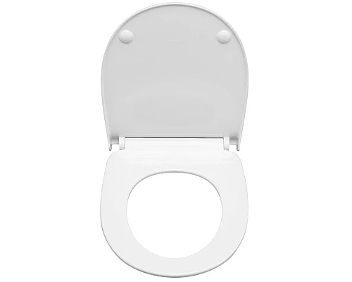 Приобрести Сиденье для унитаза с микролифтом Roca Victoria 801392002 в магазине сантехники Santeh-Crystal.ru