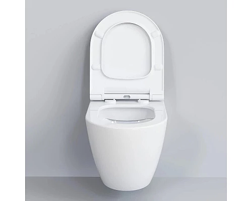 Купить Сиденье для унитаза с микролифтом Ambassador Queen 112T20001S в магазине сантехники Santeh-Crystal.ru