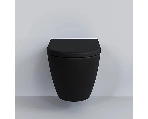 Купить Сиденье для унитаза с микролифтом Ambassador Queen 112T20201 в магазине сантехники Santeh-Crystal.ru