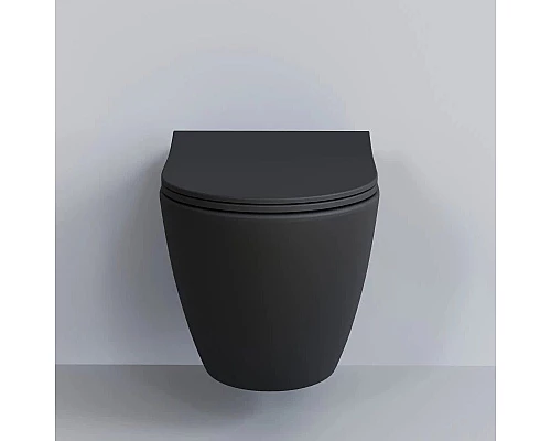 Заказать Сиденье для унитаза с микролифтом Ambassador Queen 112T20201S в магазине сантехники Santeh-Crystal.ru