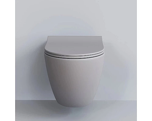 Приобрести Сиденье для унитаза с микролифтом Ambassador Queen 112T20301S в магазине сантехники Santeh-Crystal.ru