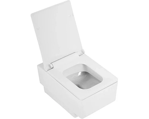 Заказать Сиденье для унитаза с микролифтом Cezares Cadro CZR-4823-SC в магазине сантехники Santeh-Crystal.ru