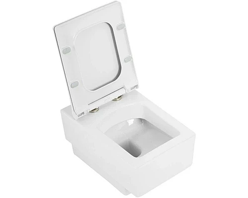 Заказать Сиденье для унитаза с микролифтом Cezares Cadro CZR-4823-SC в магазине сантехники Santeh-Crystal.ru