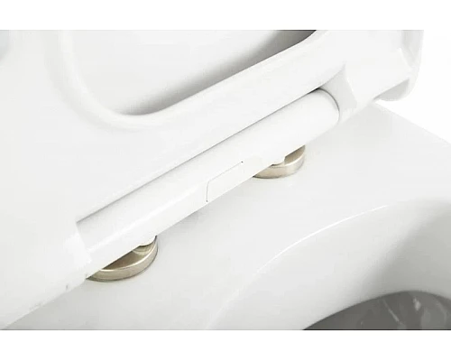 Заказать Сиденье для унитаза с микролифтом Cezares Cadro CZR-4823-SC в магазине сантехники Santeh-Crystal.ru