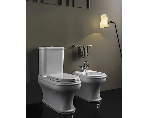 Приобрести Чаша напольного унитаза Azzurra Charme CHA100/MBPbi в магазине сантехники Santeh-Crystal.ru